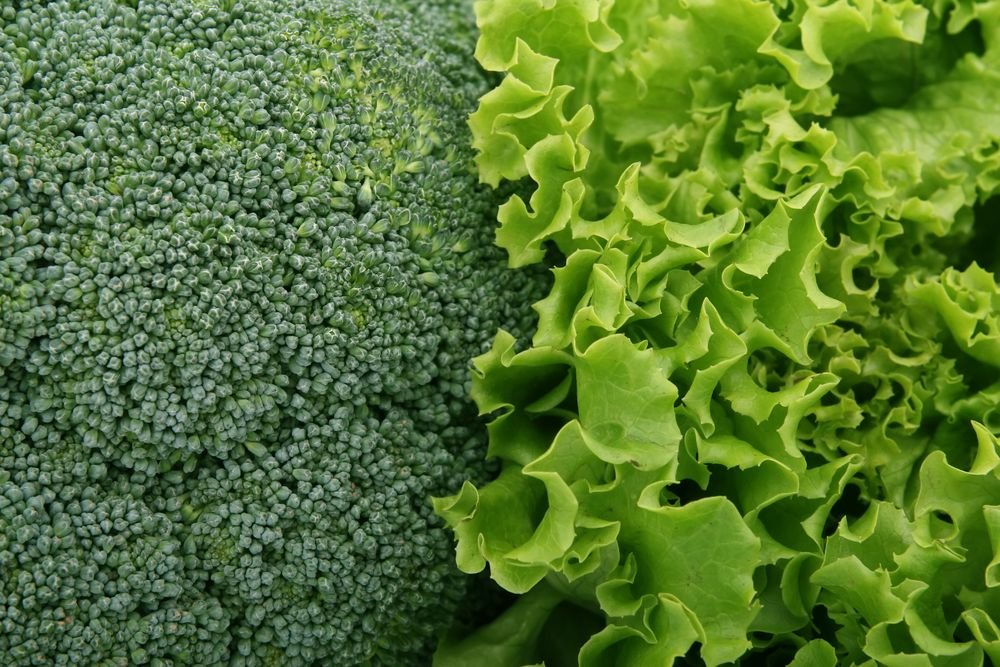Broccoli Shortage 2026: Causes, Timeline, and What to Do